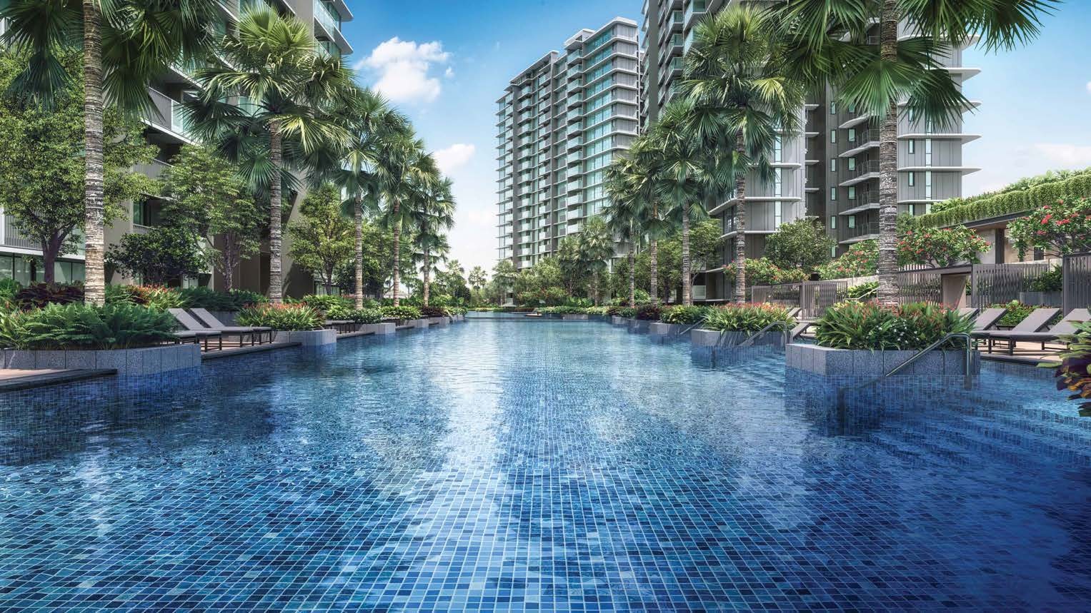 Chuan Park 50 metre lap pool artist's impression